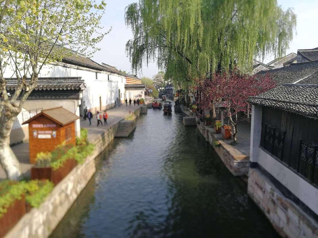 救援鹦鹉